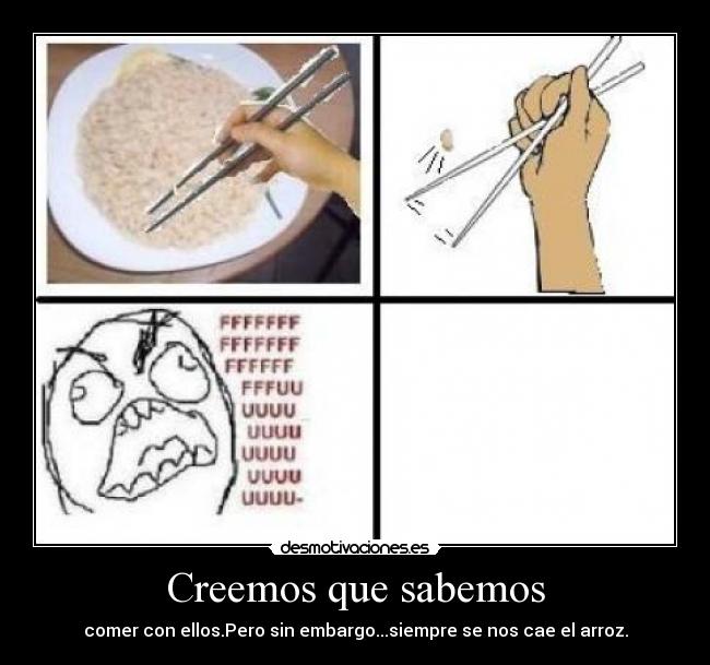 Creemos que sabemos - 