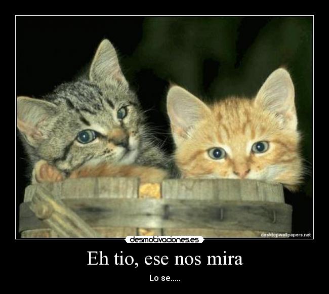 Eh tio, ese nos mira -