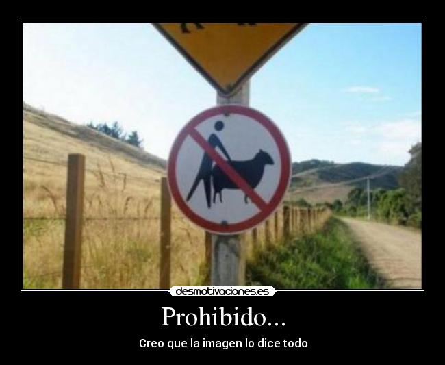 Prohibido... - Creo que la imagen lo dice todo