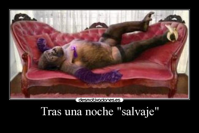 Tras una noche salvaje - 