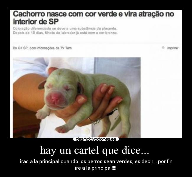 hay un cartel que dice... - iras a la principal cuando los perros sean verdes, es decir... por fin
ire a la principal!!!!!