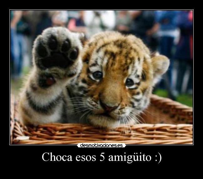 Choca esos 5 amigüito :) - 