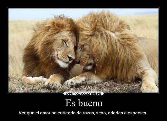 Es bueno - Ver que el amor no entiende de razas, sexo, edades o especies.