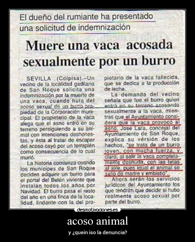 acoso animal - y ¿quein iso la denuncia?