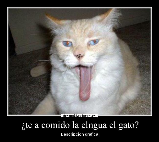 ¿te a comido la elngua el gato? - Descripción gráfica