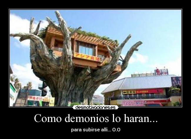 Como demonios lo haran... - para subirse alli... O.O
