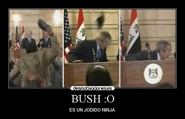 BUSH :O -