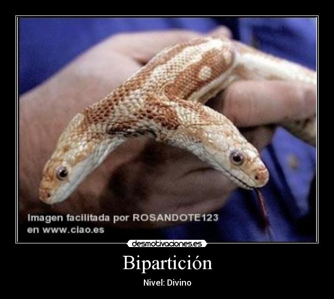 Bipartición - 