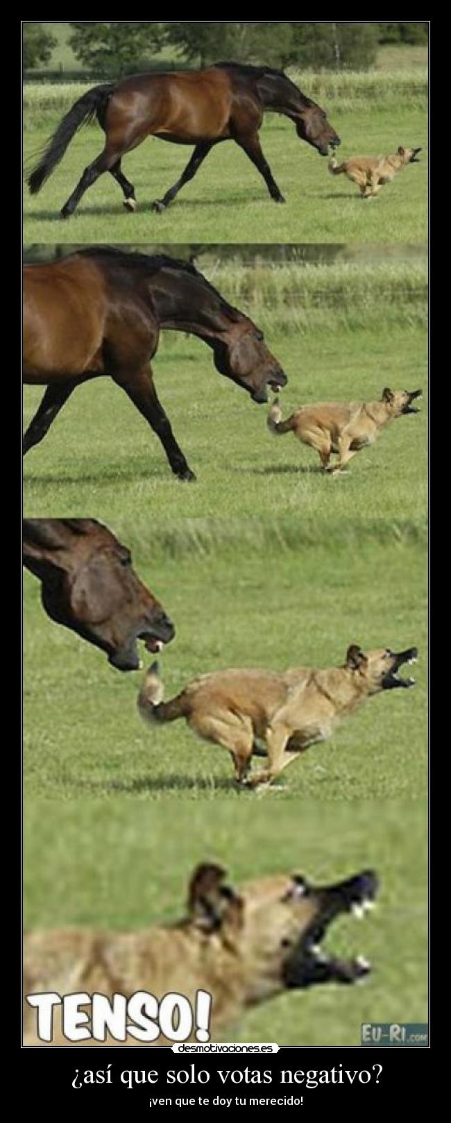 ¿así que solo votas negativo? - 