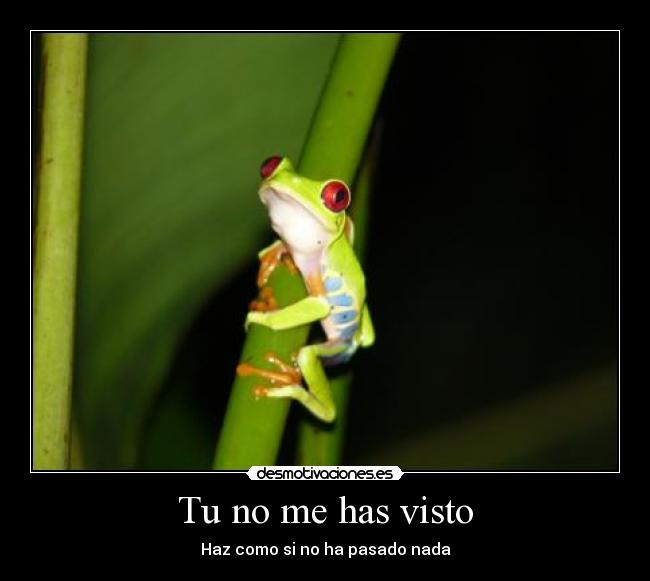 Tu no me has visto - Haz como si no ha pasado nada