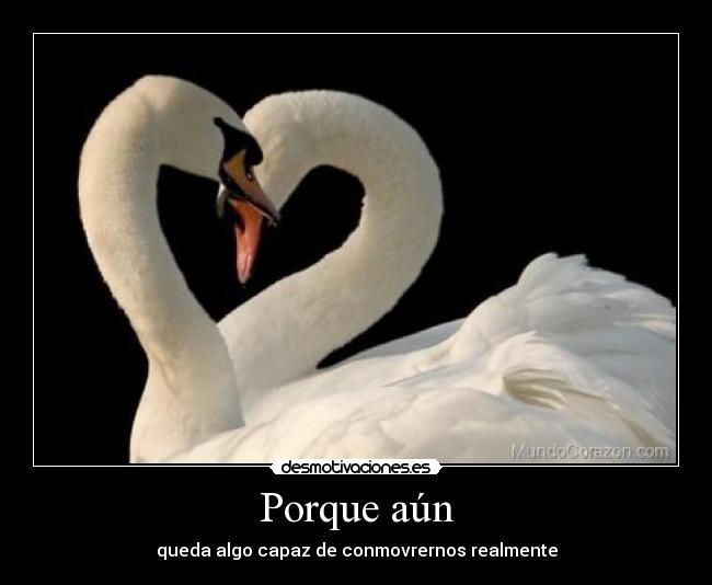 Porque aún - queda algo capaz de conmovrernos realmente