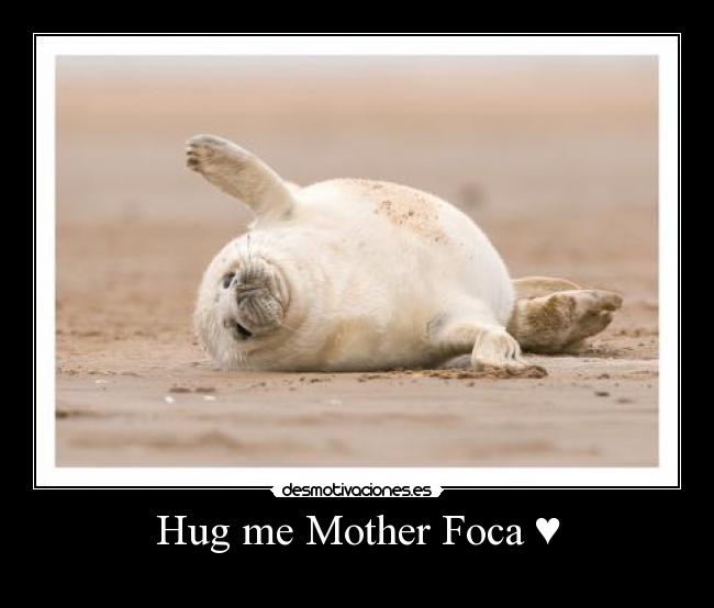 Hug me Mother Foca ♥ - 