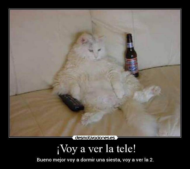 ¡Voy a ver la tele! - Bueno mejor voy a dormir una siesta, voy a ver la 2.