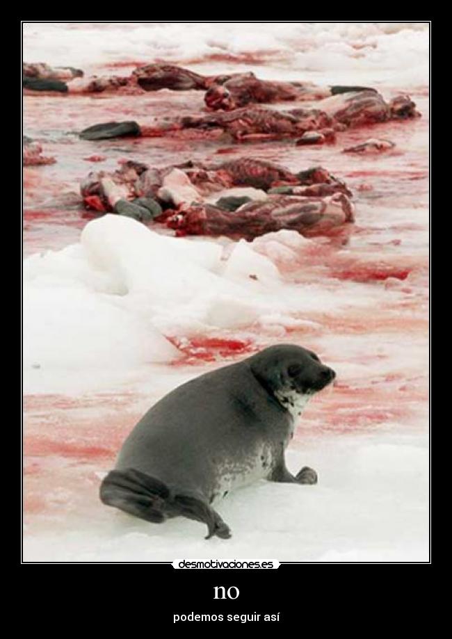 no - podemos seguir así
