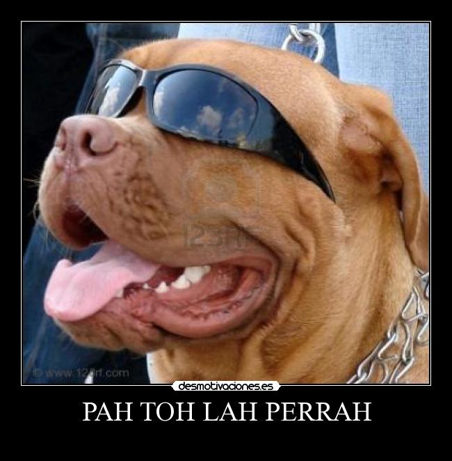 PAH TOH LAH PERRAH -