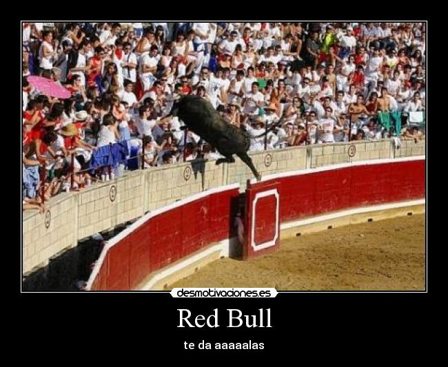 Red Bull - 