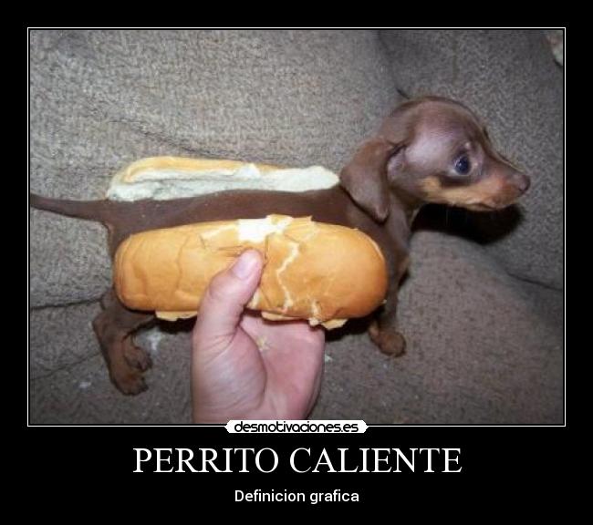 PERRITO CALIENTE -