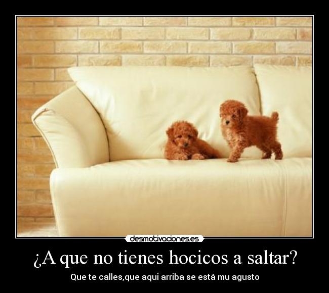 ¿A que no tienes hocicos a saltar? -