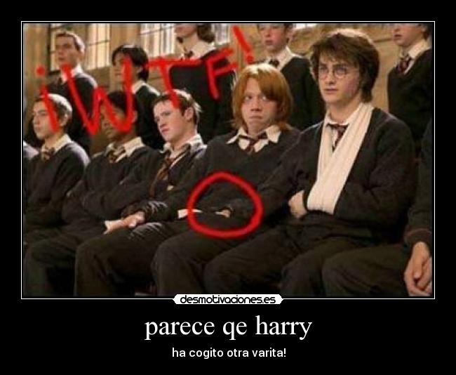 parece qe harry - ha cogito otra varita!