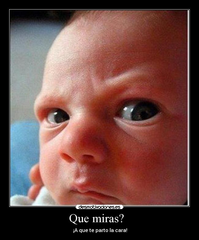 Que miras?   - 