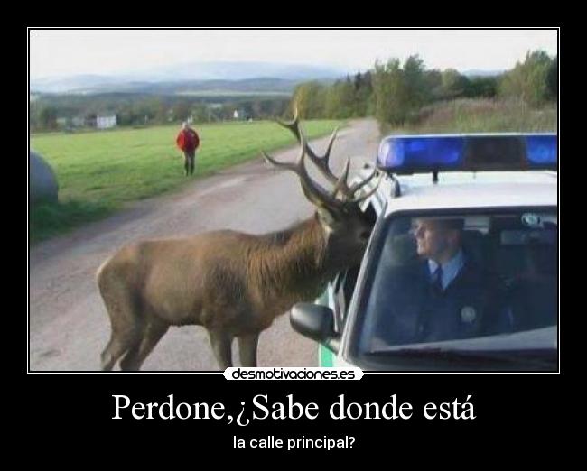 Perdone,¿Sabe donde está -