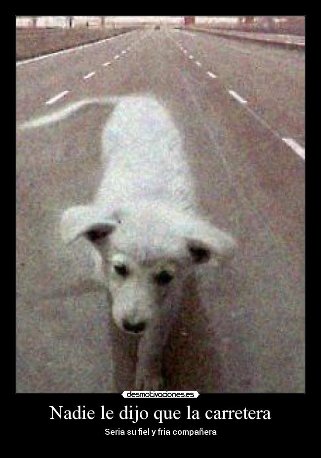 Nadie le dijo que la carretera -