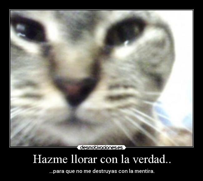 Hazme llorar con la verdad.. - ...para que no me destruyas con la mentira.
