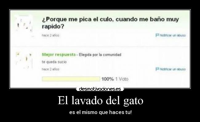 El lavado del gato - 