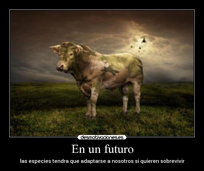 En un futuro -