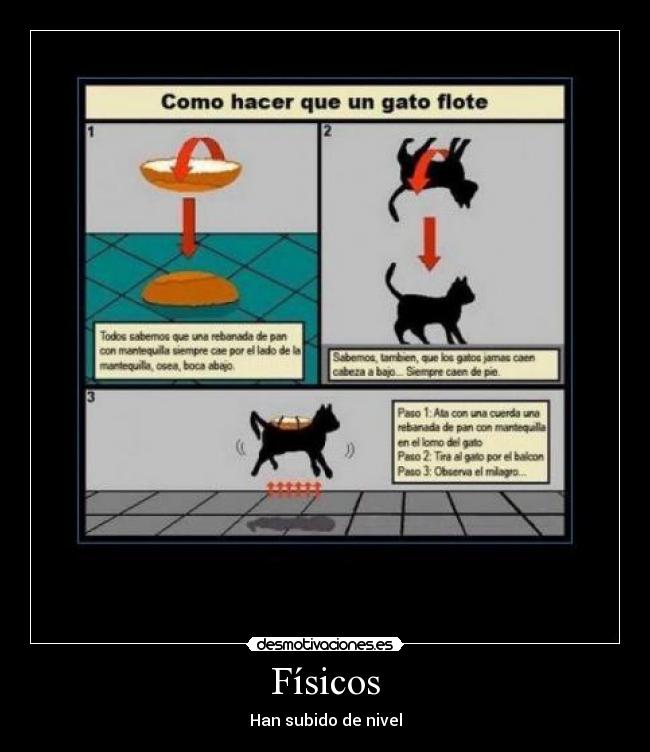 Físicos - Han subido de nivel