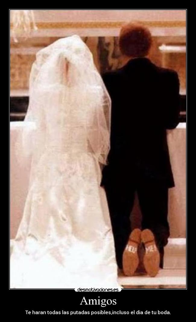 Amigos -
