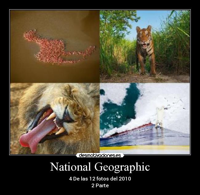 National Geographic - 4 De las 12 fotos del 2010
2 Parte