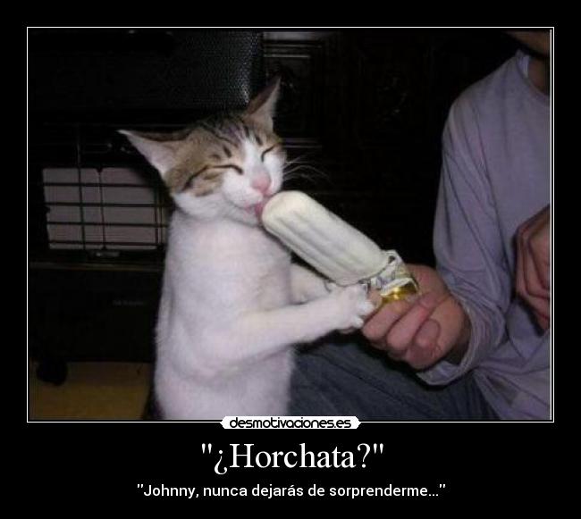 ¿Horchata? - 