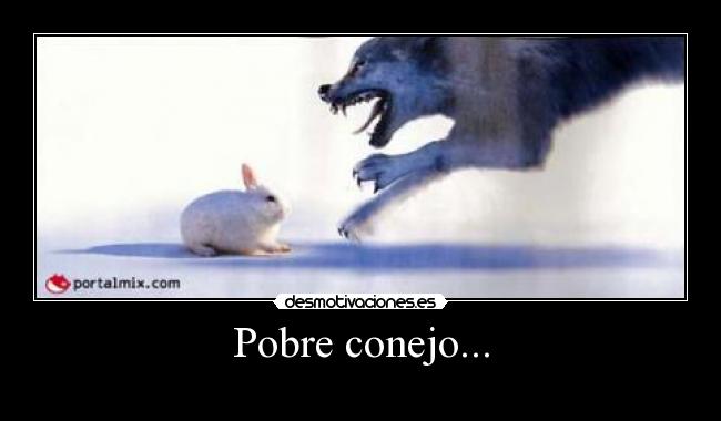 Pobre conejo... -