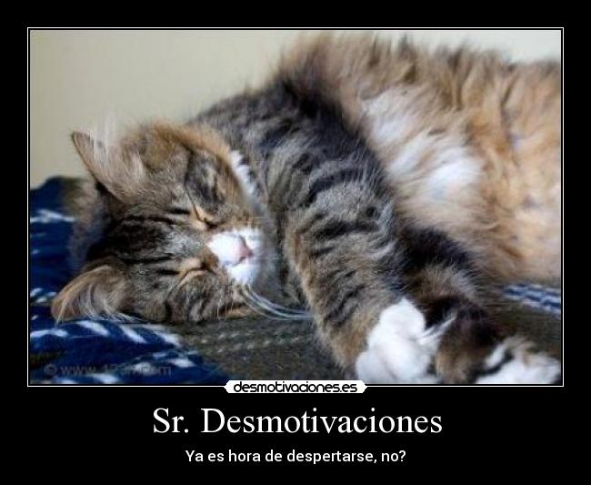 Sr. Desmotivaciones - Ya es hora de despertarse, no?