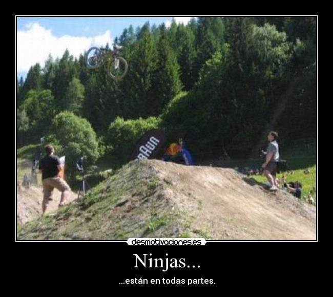 Ninjas... - ...están en todas partes.