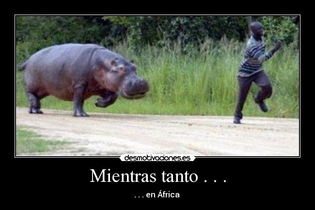 Mientras tanto . . . - . . . en África 