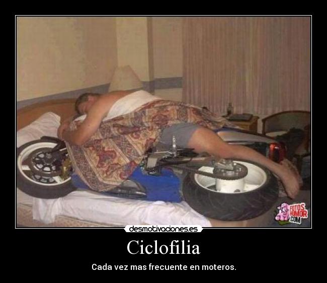 Ciclofilia - 