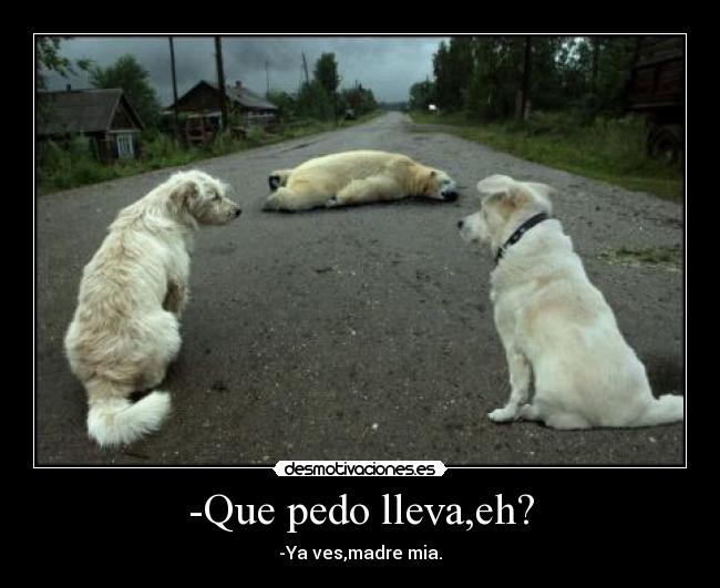 -Que pedo lleva,eh? - -Ya ves,madre mia.