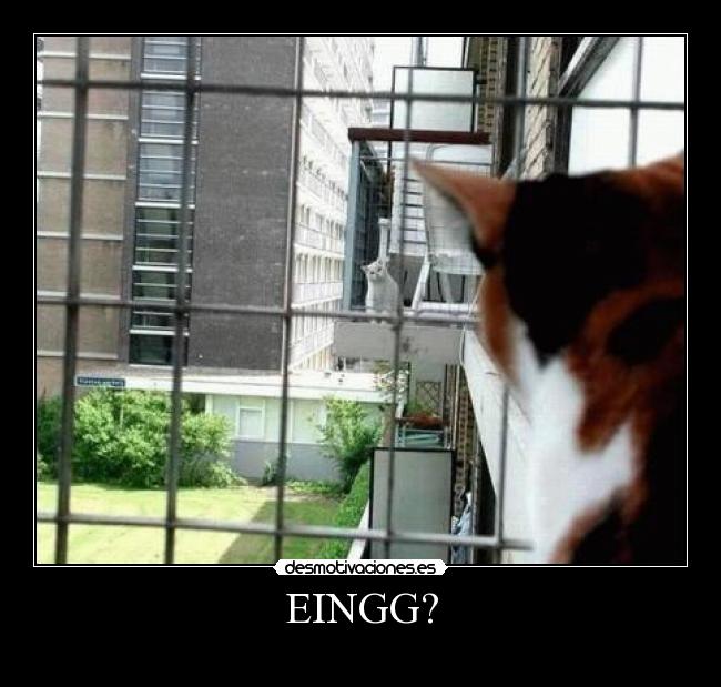 EINGG? -