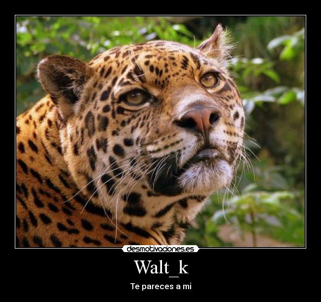 Walt_k -
