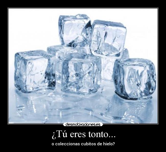 carteles tonto tonto hielo chiste desmotivaciones