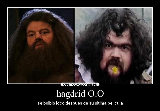 hagdrid O.O - 