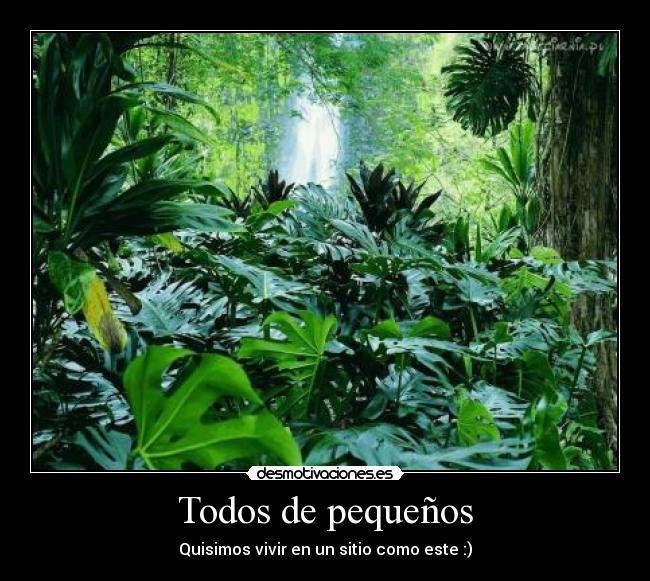 Todos de pequeños - 