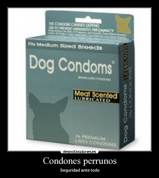 carteles condones perrunos desmotivaciones