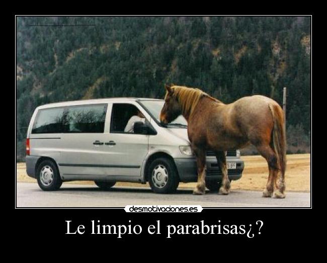 carteles limpio parabrisas desmotivaciones