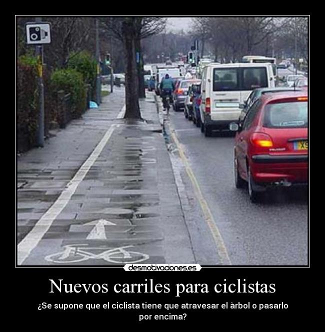 Nuevos carriles para ciclistas - ¿Se supone que el ciclista tiene que atravesar el àrbol o pasarlo por encima?