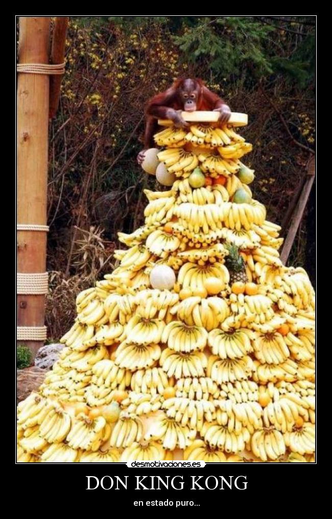 DON KING KONG - en estado puro...