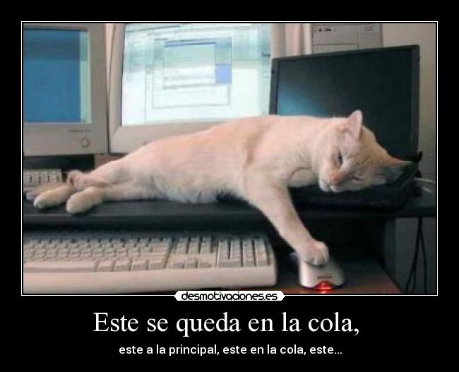 Este se queda en la cola, -