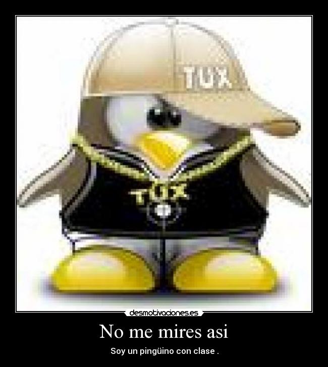 No me mires asi - Soy un pingüino con clase .